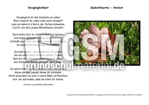 Vergänglichkeit-Ahlefeld.pdf